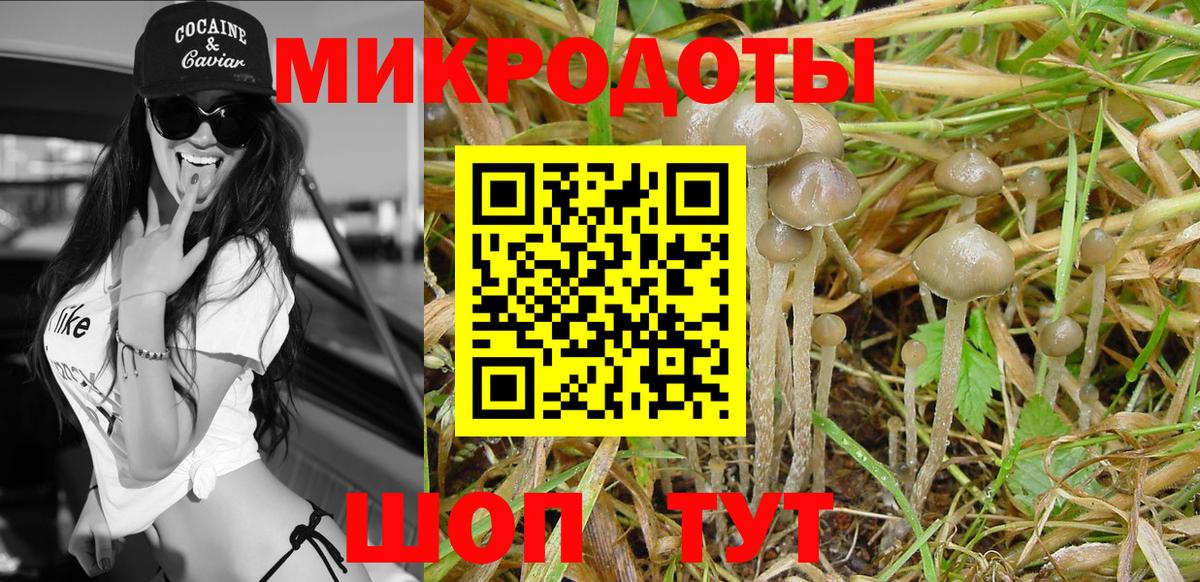Псилоцибиновые грибы Psilocybine cubensis  Галлюциногенные грибы ЛСД  Вход с VPN  Луга 