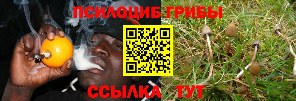 Псилоцибиновые грибы MAGIC MUSHROOMS Луга